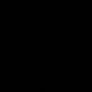 Meet your Posher, Ella